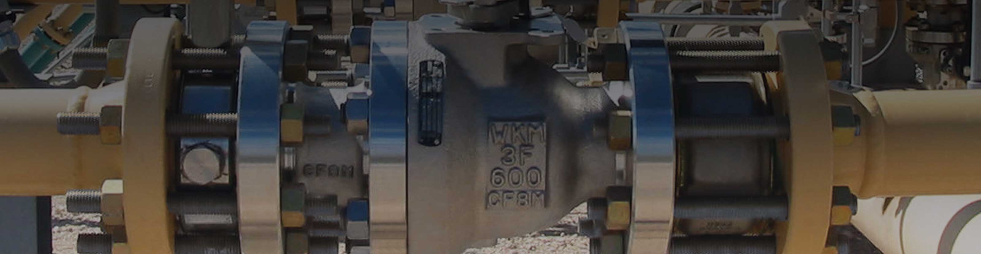 WKM valve in the field.