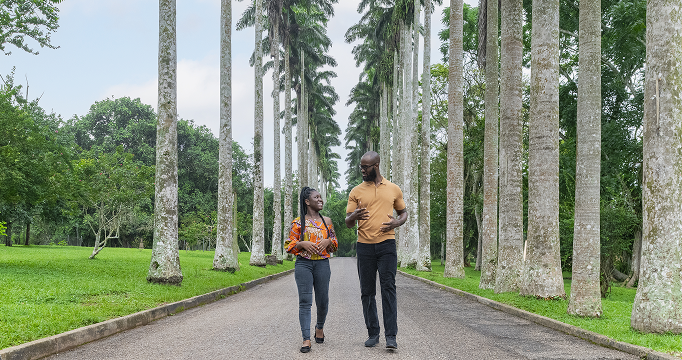 People Nature Waterfall